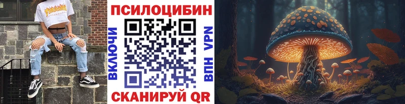 Галлюциногенные грибы Psilocybe Петропавловск-Камчатский